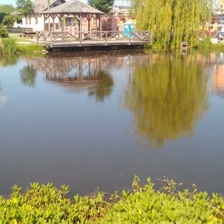 Sarka